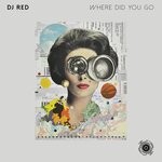 cover: Dj Red - Where Did You Go