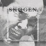 cover: Skogen - Two Years Later