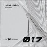 cover: Lost Bird - Township