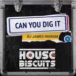 cover: Dj James Ingram - Can You Dig It