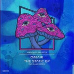 cover: Omari - The Static