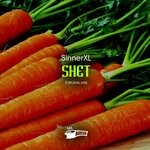 cover: Sinnerxl - Shet