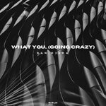 cover: Dan Ojeda - What You... (Going Crazy)