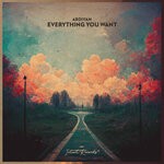 cover: Ardiyan - Everything You Want