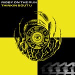 cover: Rigby On The Run - Thinkin Bout U