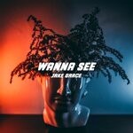 cover: Jake Grace - Wanna See