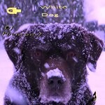 cover: Dj Phantom 7 - White Dog