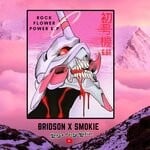 cover: Bridson X Smokie - Rock Flower Power