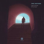 cover: Chris Wayfarer - Light At The End Of The Tunnel