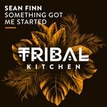 cover: Sean Finn - Something Got Me Started