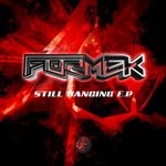 cover: Formek - Still Banging