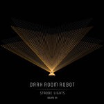 cover: Dark Room Robot - Strobe Lights, Vol 4