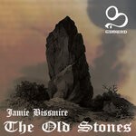 cover: Jamie Bissmire - The Old Stones