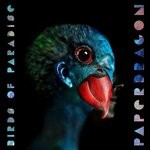 cover: Paper Dragon - Birds Of Paradise