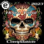 cover: Various - House Tribal Compilation, Vol 1 2023