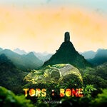 cover: Tors - Bone