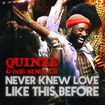 cover: Bob Sinclar|Quinze - Never Knew Love Like This Before