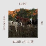 cover: Kalupke - Magnetic Levitation