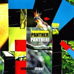 cover: Panther Panther! - Midnight Ritual