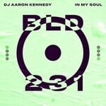 cover: Dj Aaron Kennedy - In My Soul