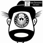 cover: Dope Demeanors - Dub Culture