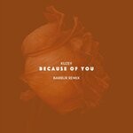 cover: Kuzey - Because Of You (Barbur Remix)