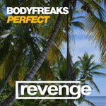 cover: Bodyfreaks - Perfect (Original Mix)