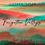 cover: Hushed Tones - Forgotten Valleys