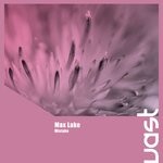 cover: Max Lake - Mistake