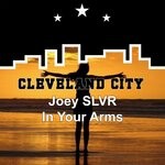 cover: Joey Slvr - In Your Arms