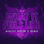 cover: Manifest Destiny|Akimbo - What It Feels Like