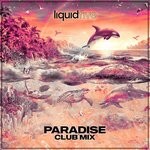 cover: Liquidfive - Paradise (Club Mix)