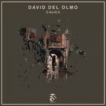 cover: David Del Olmo - Salga