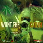 cover: Kraiggi Badart|Teflon Young King - Want The Ganja