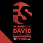 cover: David Del Olmo - The Promised Land