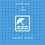 cover: Peter Luts|G-bric - Pacific Wish