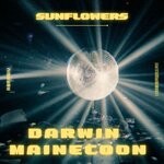 cover: Darwin X Mainecoon - Sunflowers