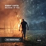 cover: Robert Curtis - Because Of You