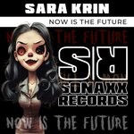 cover: Sara Krin - Now Is The Future