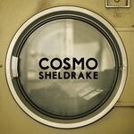 cover: Cosmo Sheldrake - The Moss