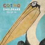 cover: Cosmo Sheldrake - Pelicans We