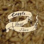 cover: Gaggle - I Hear Flies