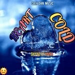 cover: Shyne Stunna - Heart Cold