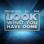 cover: Emie|N.f.i|Stefy De Cicco - Look What You Have Done