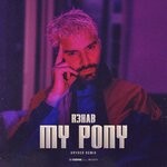 cover: R3hab|Kryder - My Pony (Kryder Remix)
