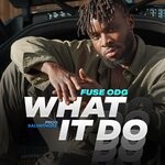 cover: Fuse Odg - What It Do