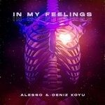 cover: Alesso|Deniz Koyu - In My Feelings