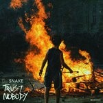 cover: Dj Snake - Trust Nobody