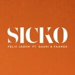 cover: Faangs|Felix Jaehn|Gashi - Sicko