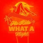 cover: Flo Rida - What A Night (Remixes)